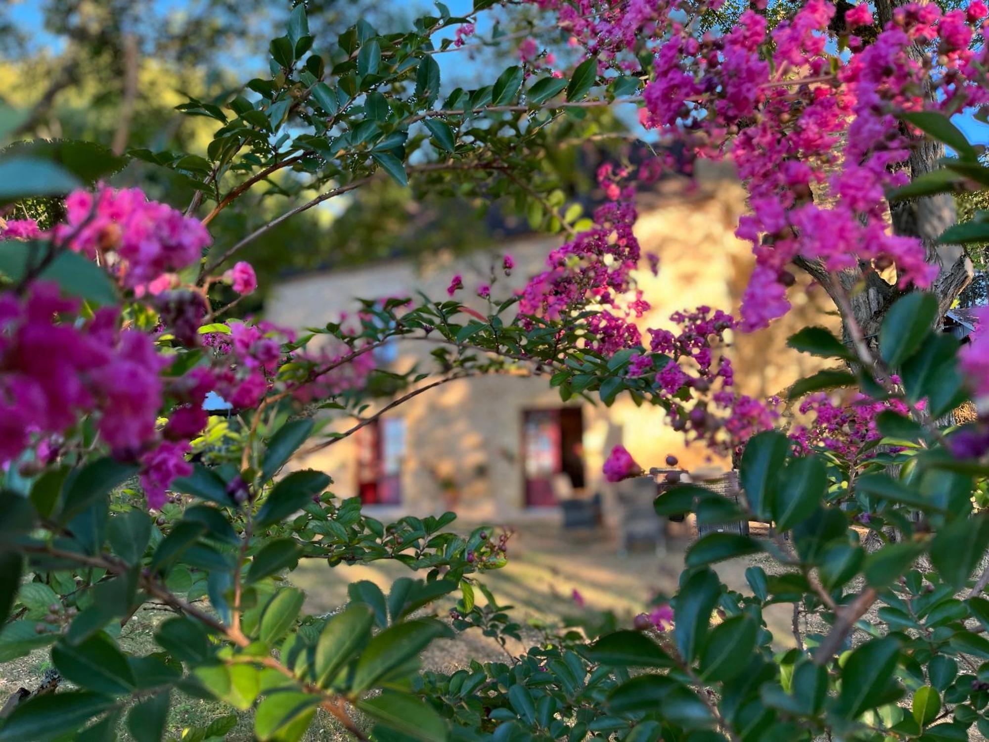 Roquebrune Saint-Alvère エクステリア 写真