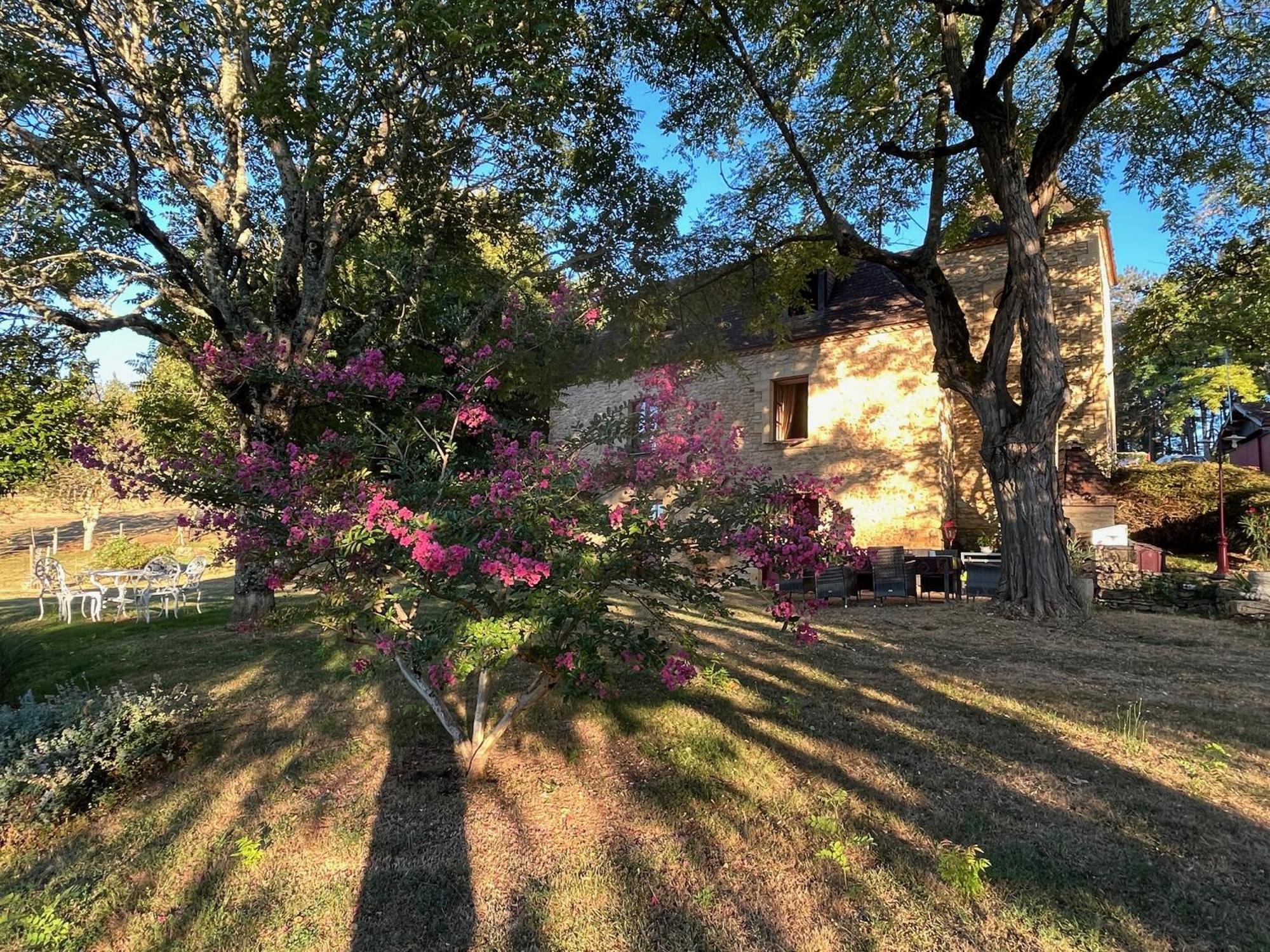 Roquebrune Saint-Alvère エクステリア 写真